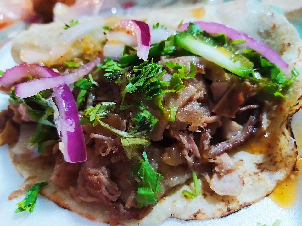Tacos de carnitas